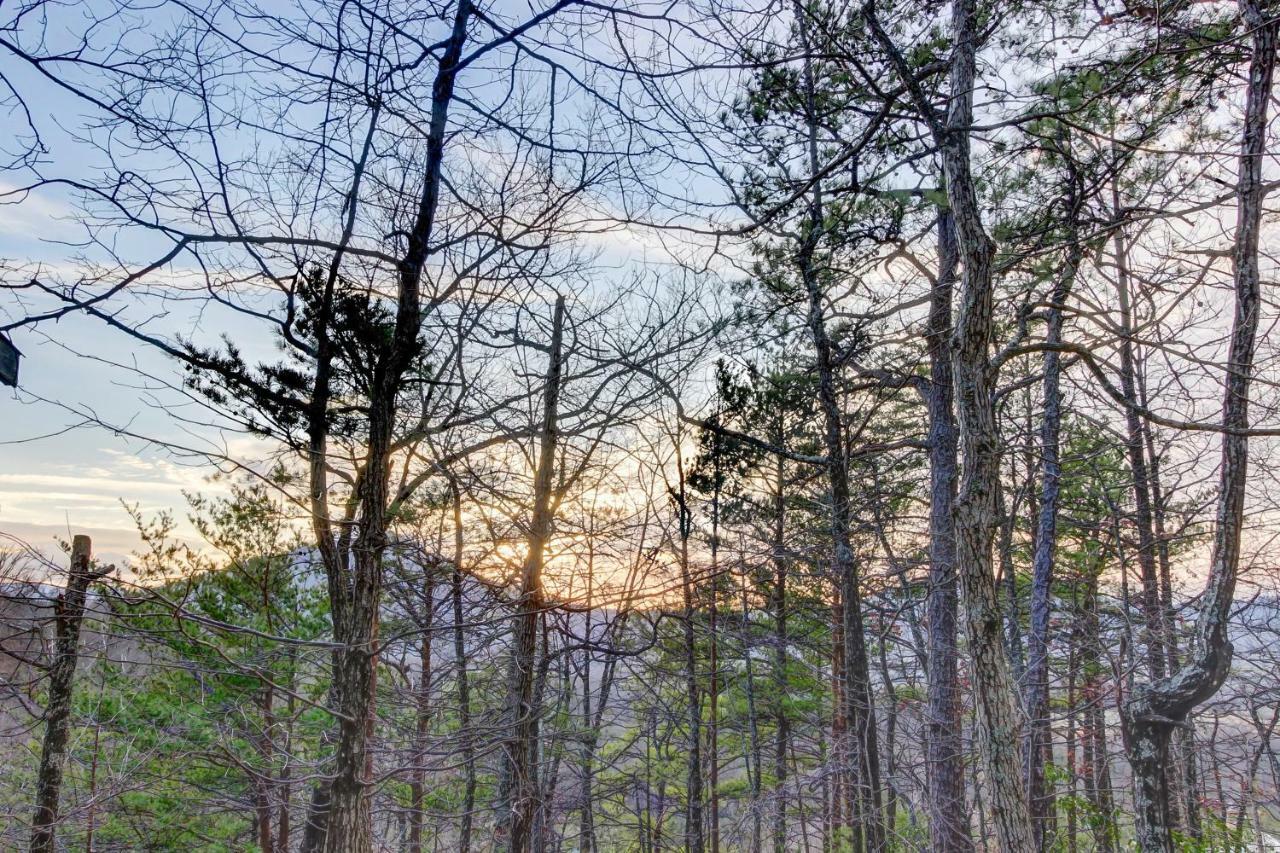 Misty View Cabin Hatchertown Екстер'єр фото