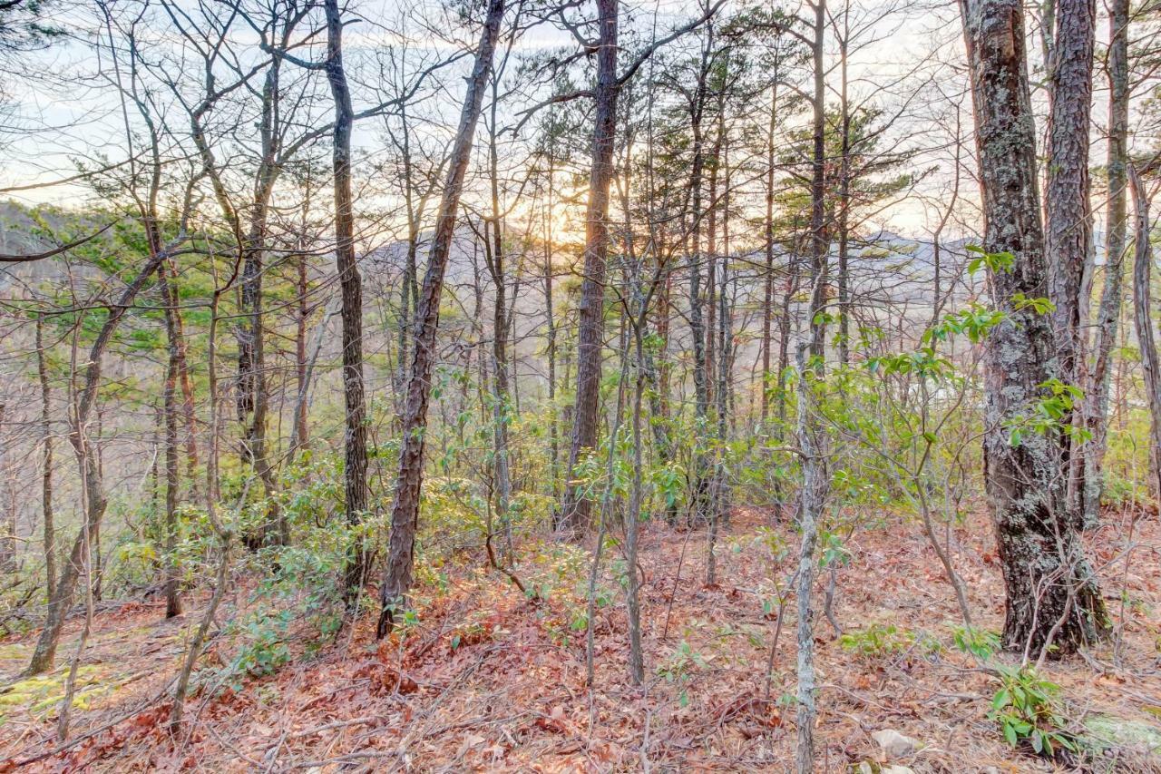 Misty View Cabin Hatchertown Екстер'єр фото